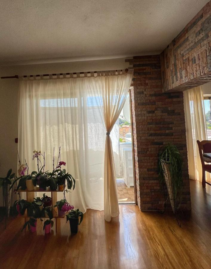 Apartmani Mia Palit Exterior photo